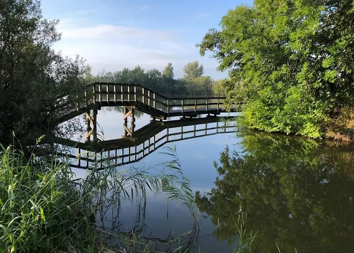 76 Op Recreatiepark De Wielen Sint Maarten
