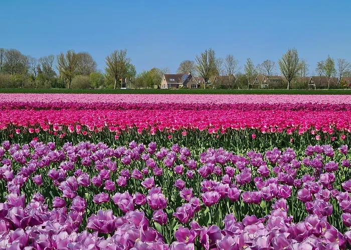 76 Op Recreatiepark De Wielen * 신트 마르턴